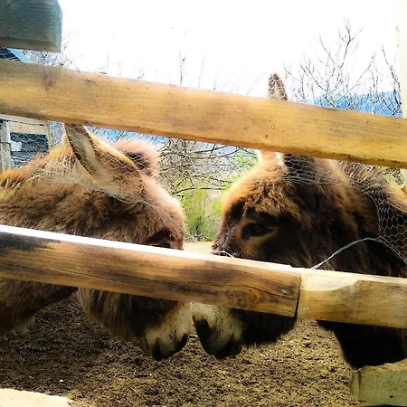 Çiftlik konaklama Il Casale Della Biodiversita *