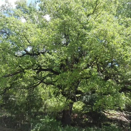 Il Casale Della Biodiversita