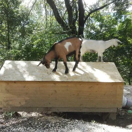 Il Casale Della Biodiversita *