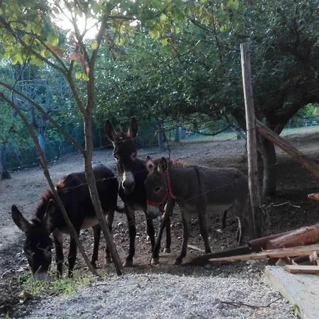 Il Casale Della Biodiversita Farm stay Scanzano