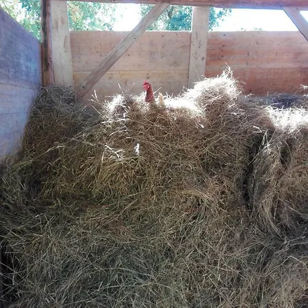 Il Casale Della Biodiversita Çiftlik konaklama *