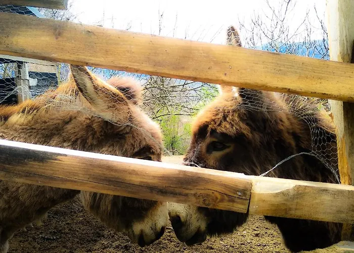 Séjour à la ferme Il Casale Della Biodiversità *