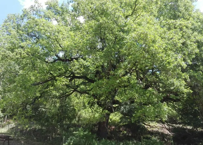 Il Casale Della Biodiversita