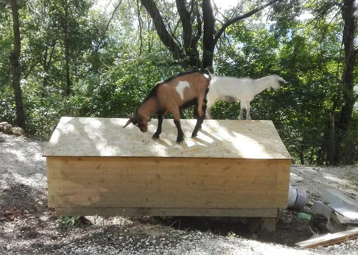 Il Casale Della Biodiversita *