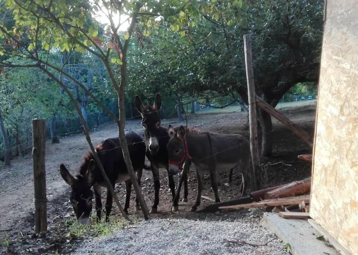 Il Casale Della Biodiversità Séjour à la ferme Scanzano