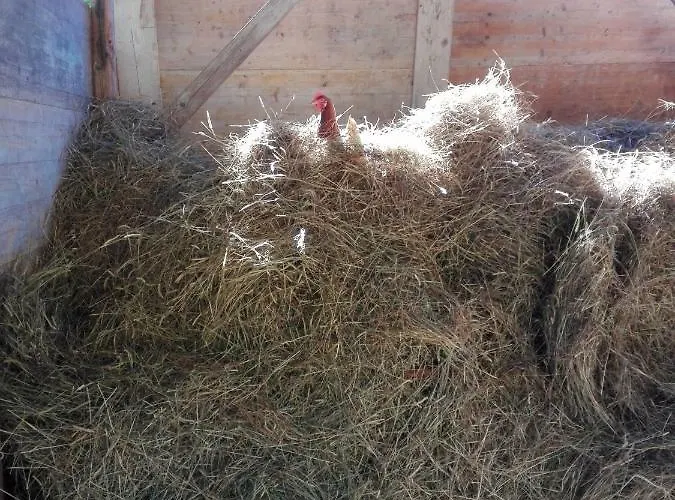 Il Casale Della Biodiversità Séjour à la ferme *