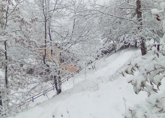 Il Casale Della Biodiversita